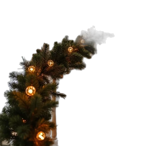 tree, staff, crown, hair transparent PNG cut-out