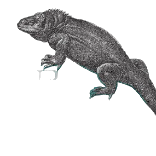 dragon, animal, creature, staff transparent PNG cut-out