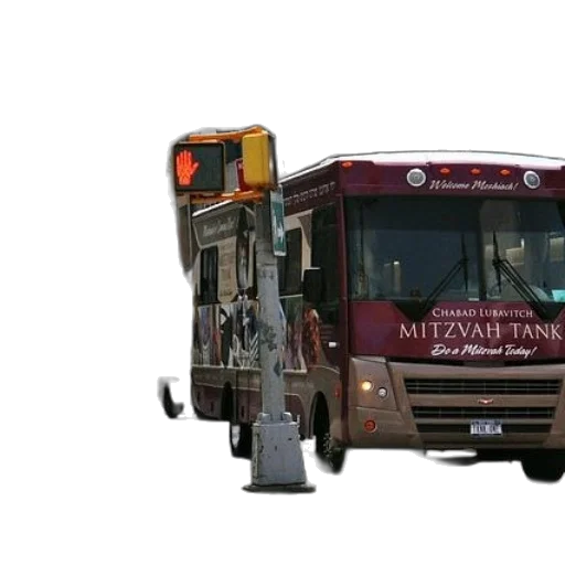 staff, weapon, car, animal transparent PNG cut-out