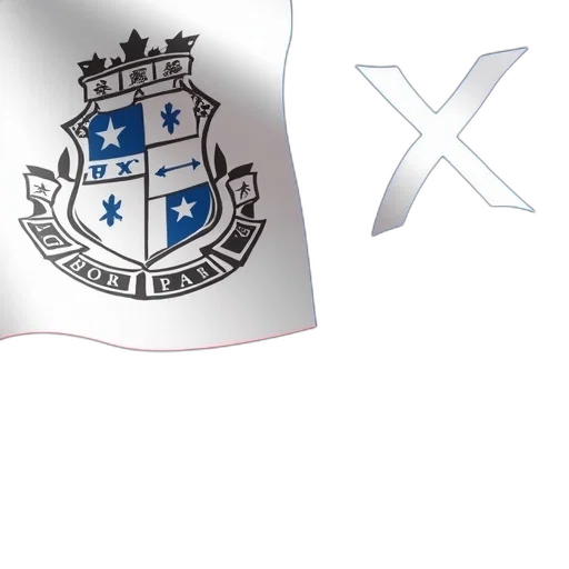 first, image, shows, close-up transparent PNG cut-out