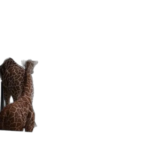 animal, furniture, shoes, creature transparent PNG cut-out