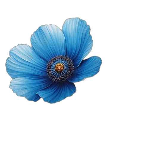 flower, crown, jewelry, dress transparent PNG cut-out