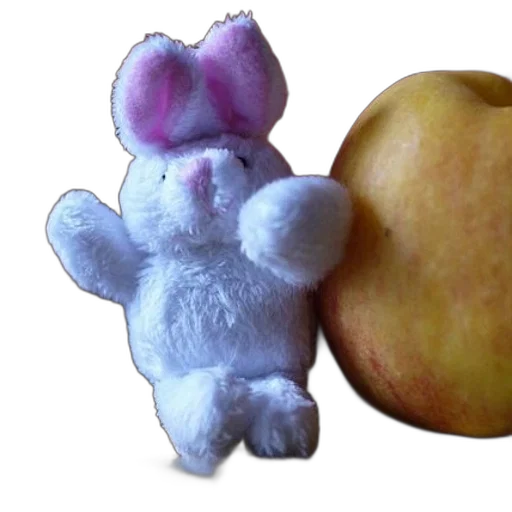 food, animal, creature, 3d render transparent PNG cut-out