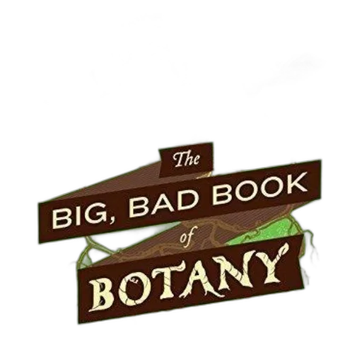 hat, concept art, big, bad transparent PNG cut-out
