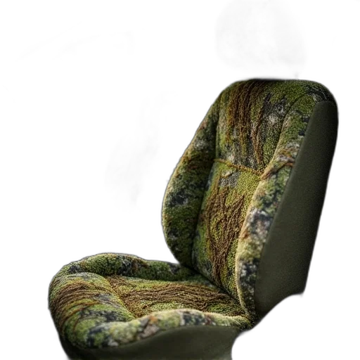 furniture, hair, tree, shoes transparent PNG cut-out