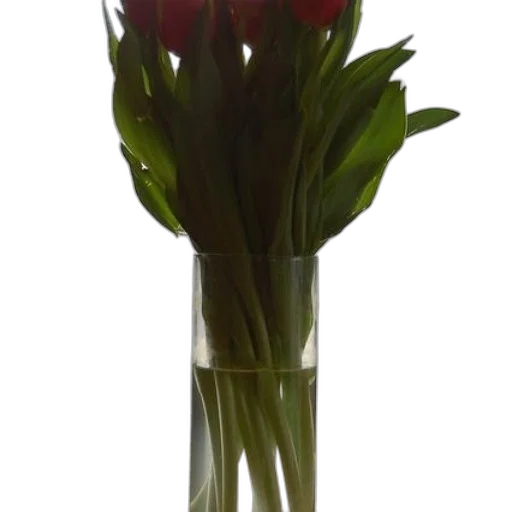 flower, bottle, crown, staff transparent PNG cut-out
