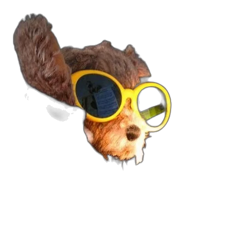 animal, staff, creature, mask transparent PNG cut-out