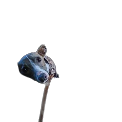 staff, umbrella, animal, creature transparent PNG cut-out