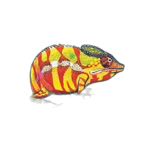 animal, hat, jacket, food transparent PNG cut-out
