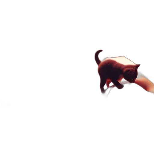 weapon, animal, staff, umbrella transparent PNG cut-out