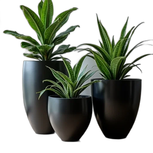 3d render, photorealistic, black, planters transparent PNG cut-out