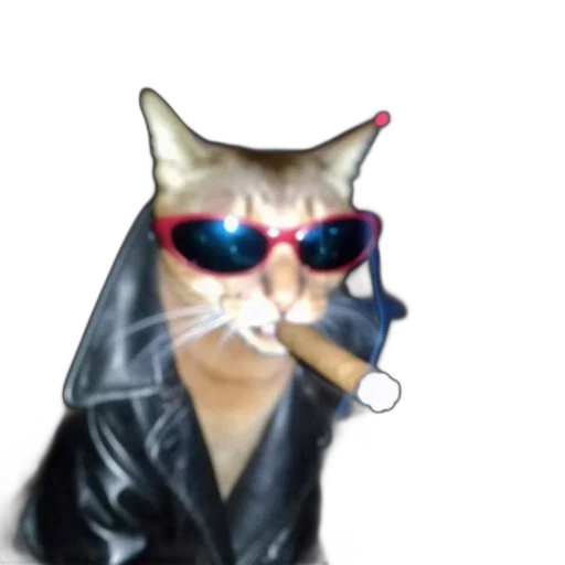 jacket, animal, mask, vaporwave transparent PNG cut-out