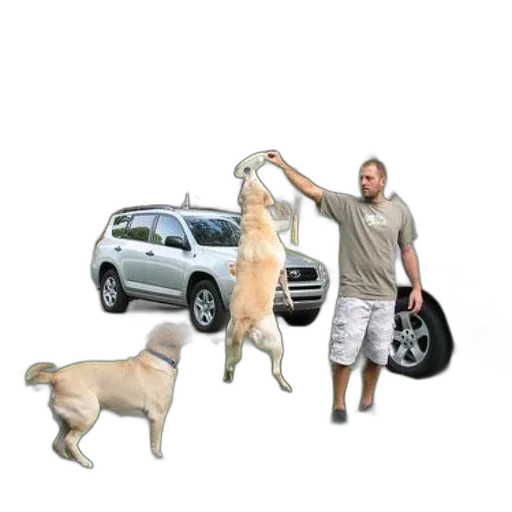 car, animal, creature, staff transparent PNG cut-out