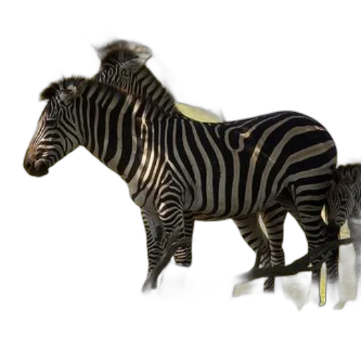 animal, creature, furniture, jewelry transparent PNG cut-out