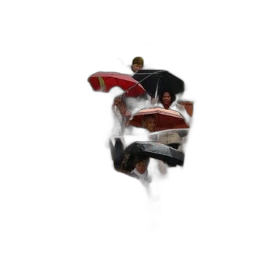 car, shoes, furniture, creature transparent PNG cut-out