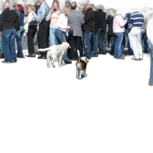 staff, animal, 3d render, two transparent PNG cut-out