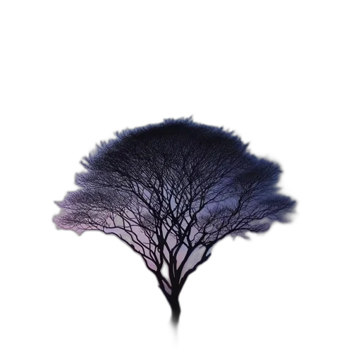 tree, crown, hair, hat transparent PNG cut-out