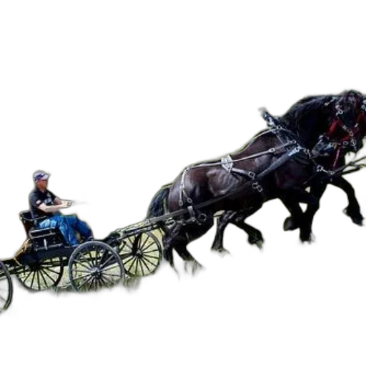 animal, car, photorealistic, concept art transparent PNG cut-out