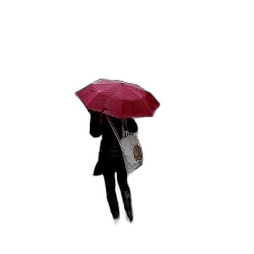 umbrella, jacket, hat, dress transparent PNG cut-out