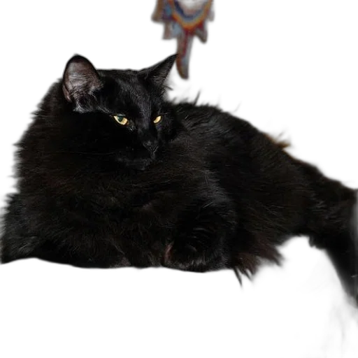 animal, creature, dragon, staff transparent PNG cut-out
