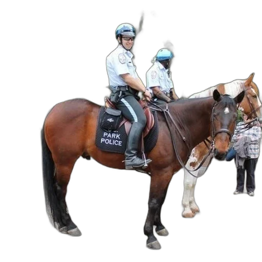 staff, animal, concept art, two transparent PNG cut-out