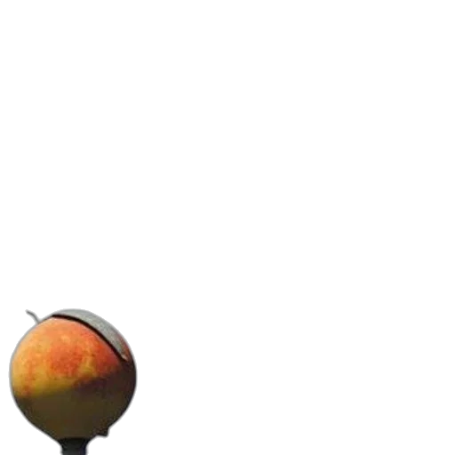 food, tree, robot, weapon transparent PNG cut-out