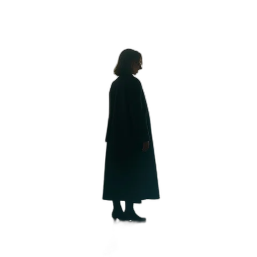 jacket, dress, umbrella, staff transparent PNG cut-out