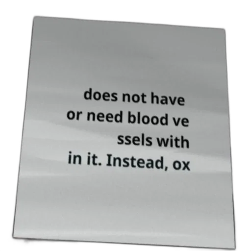 sword, staff, text-based, image transparent PNG cut-out