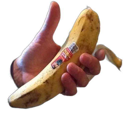 weapon, food, staff, animal transparent PNG cut-out