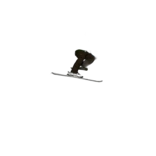 staff, sword, weapon, animal transparent PNG cut-out