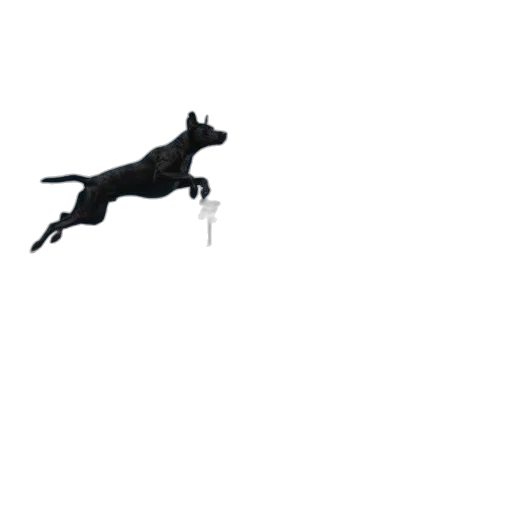 animal, dragon, creature, staff transparent PNG cut-out