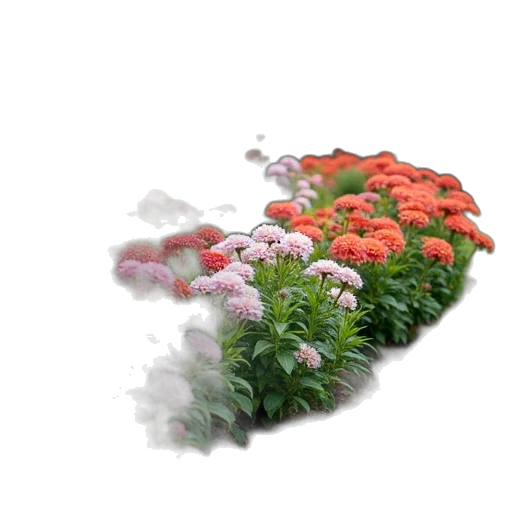 flower, crown, staff, face transparent PNG cut-out