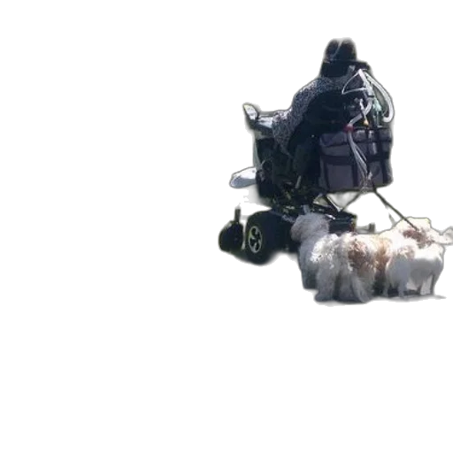 robot, weapon, jacket, bottle transparent PNG cut-out