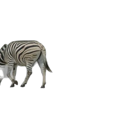 animal, creature, furniture, robot transparent PNG cut-out