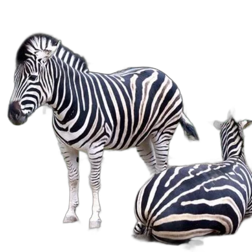 animal, furniture, creature, 3d render transparent PNG cut-out