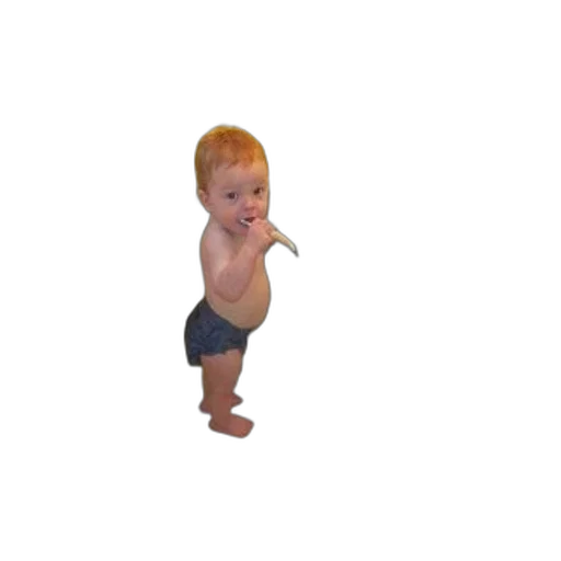 creature, animal, face, staff transparent PNG cut-out