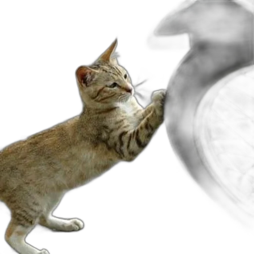 animal, creature, weapon, staff transparent PNG cut-out