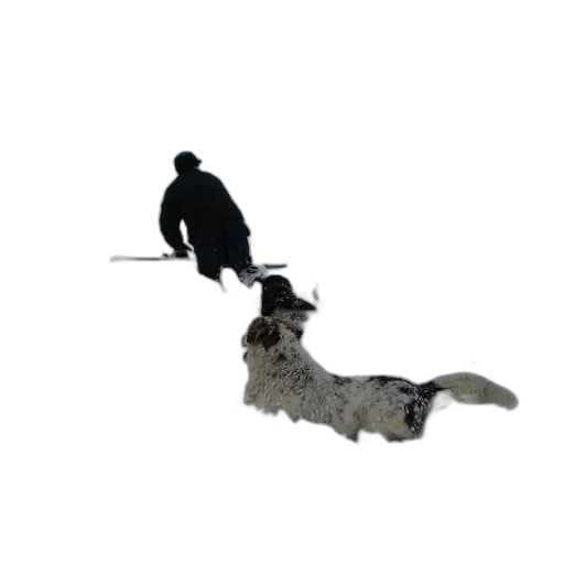 staff, animal, hat, weapon transparent PNG cut-out