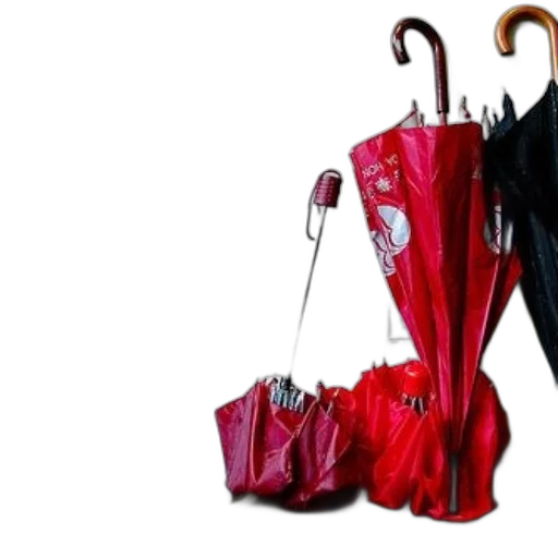 dress, umbrella, shoes, jacket transparent PNG cut-out