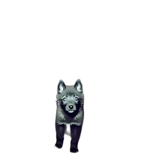 animal, mask, staff, creature transparent PNG cut-out
