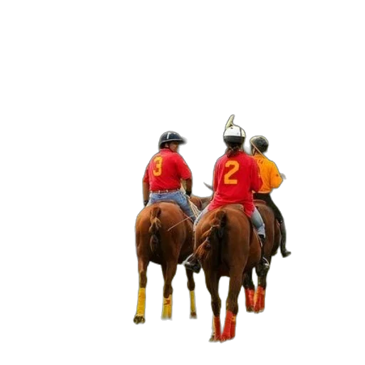 staff, crown, animal, hat transparent PNG cut-out