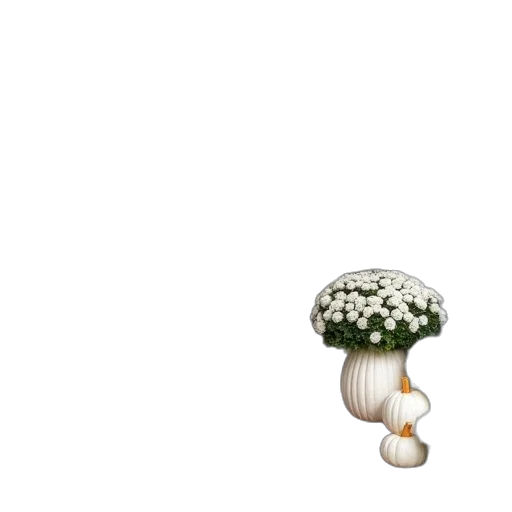 flower, umbrella, crown, hat transparent PNG cut-out