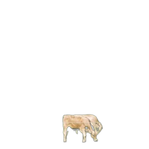 animal, creature, food, furniture transparent PNG cut-out