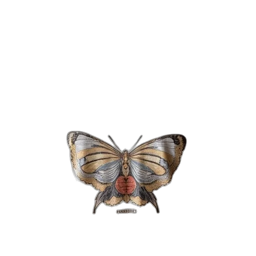 animal, mask, creature, crown transparent PNG cut-out