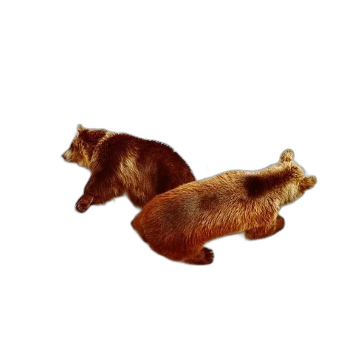 animal, creature, furniture, 3d render transparent PNG cut-out