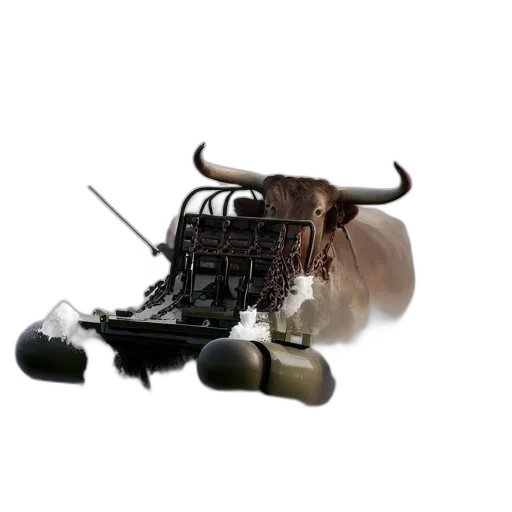 weapon, shoes, animal, car transparent PNG cut-out