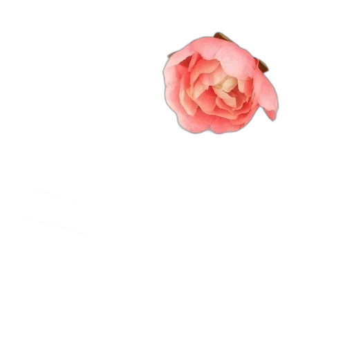 flower, crown, jewelry, staff transparent PNG cut-out
