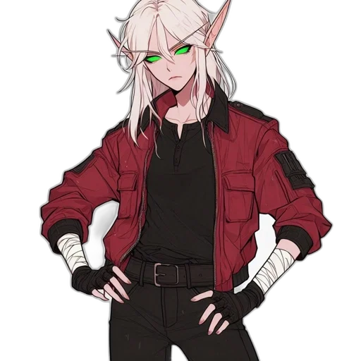 jacket, staff, dragon, concept art transparent PNG cut-out