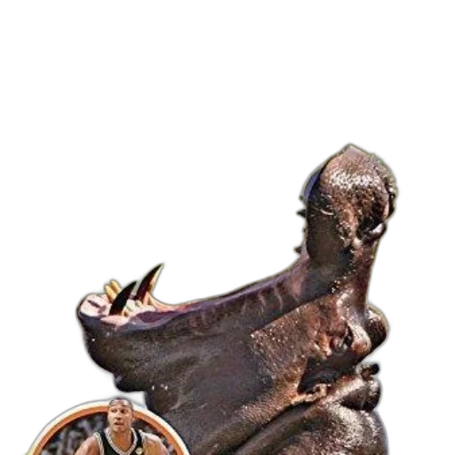 shoes, staff, animal, creature transparent PNG cut-out