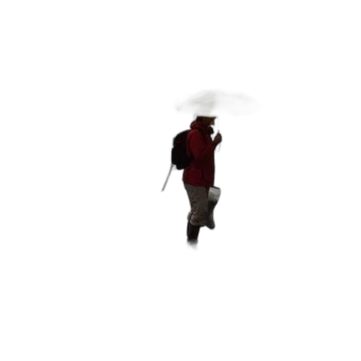 umbrella, jacket, staff, creature transparent PNG cut-out
